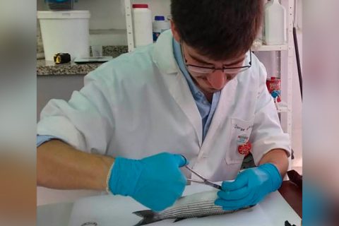 Jorge García - Universidad de Málaga