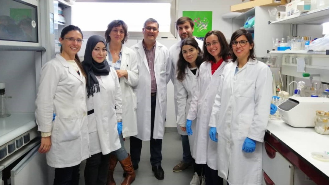 Rosa León en su Laboratorio en la Universidad de Huelva Rosa León en su Laboratorio en la Universidad de Huelva