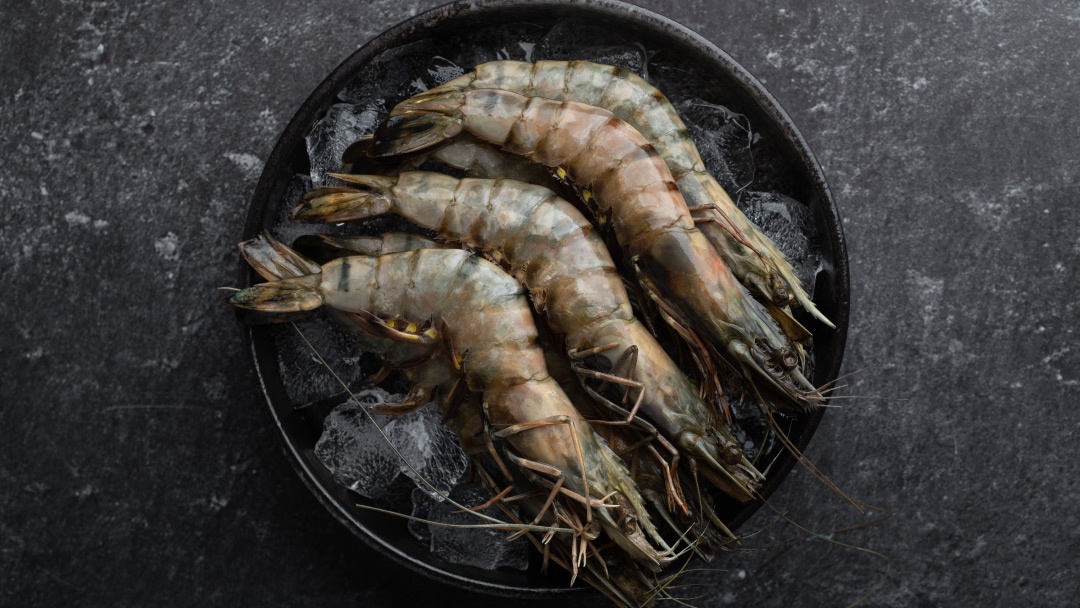 Langostino tigre negro (Penaeus monodon) Langostino tigre negro (Penaeus monodon)