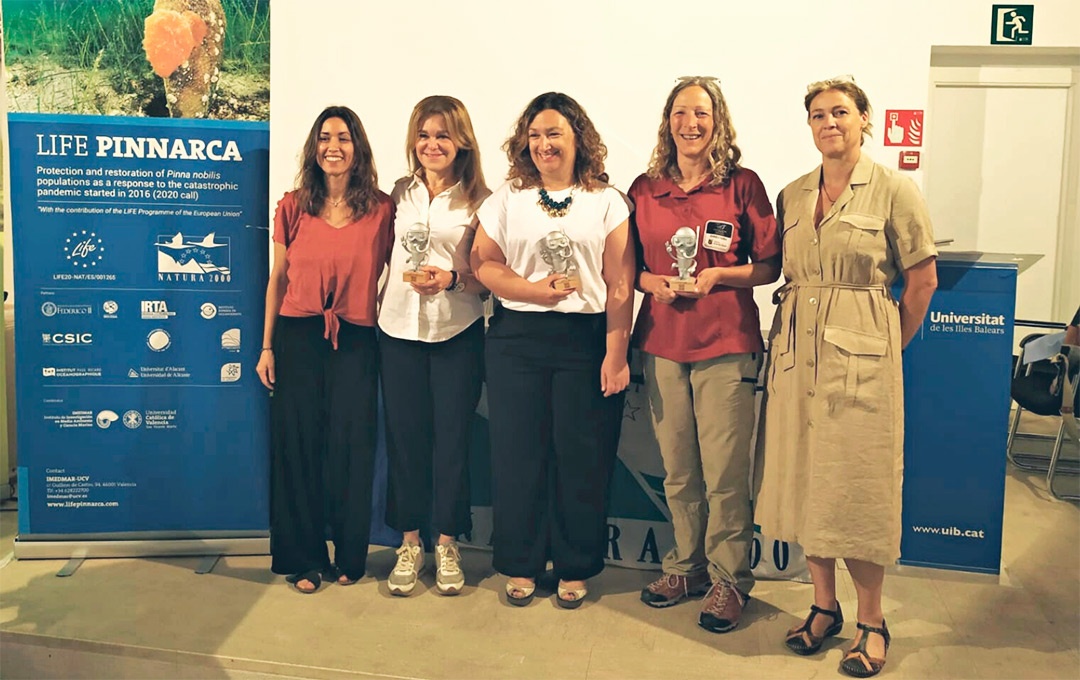 Life Pinnarca - Premios 'Silver Pinnarca' Life Pinnarca - Premios 'Silver Pinnarca'