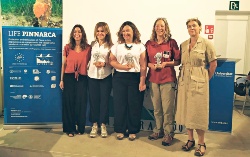 Entidades destacadas en Baleares reciben las Silver Pinnarca por su labor en la protección de la nacra mediterránea