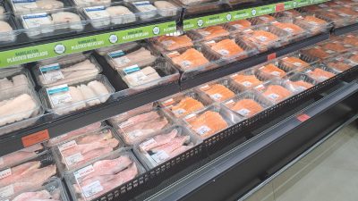 Ricercatori analizzano le opzioni tecnologiche dell’elettricità e della pressione per preservare il pesce fresco