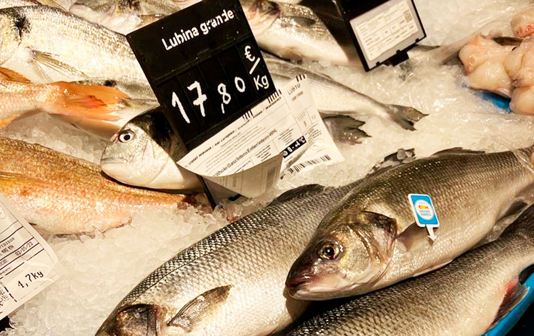 Lubina grande en supermercado Lubina grande en supermercado