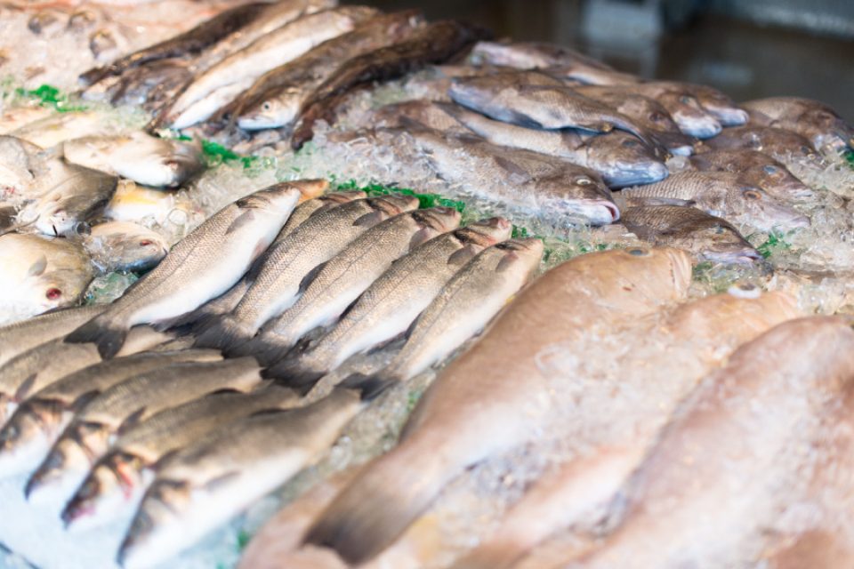 Lubinas mostrador pescadería