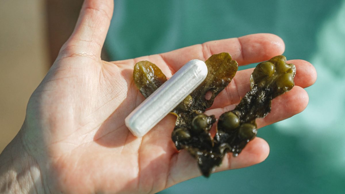 Mano con alga y tampón 'Kelpon'