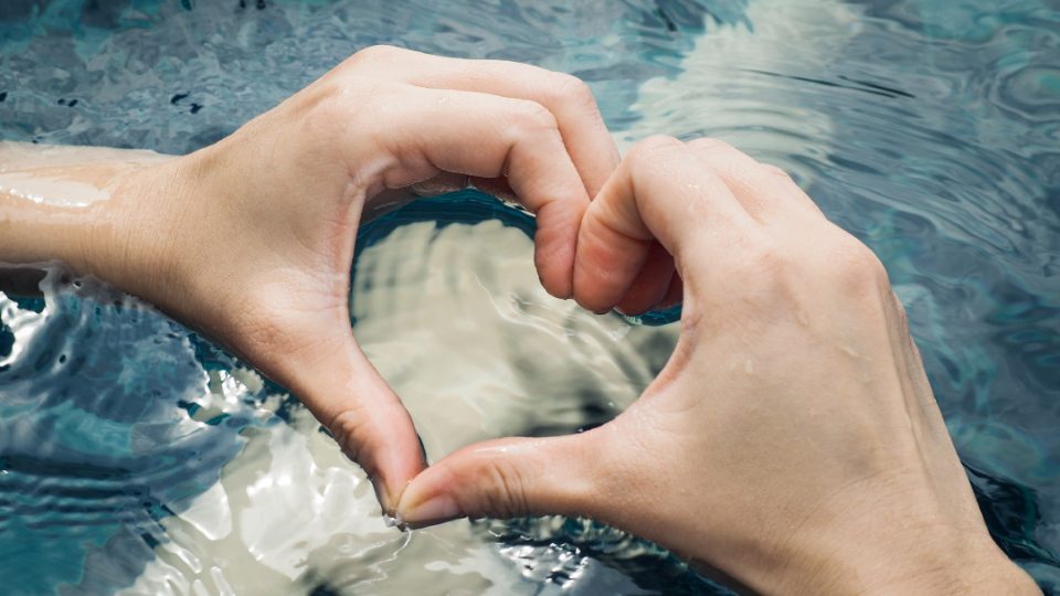 Manos corazón agua