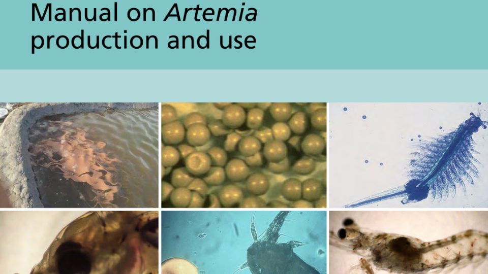 FAO Manual on Artemia Production and Use