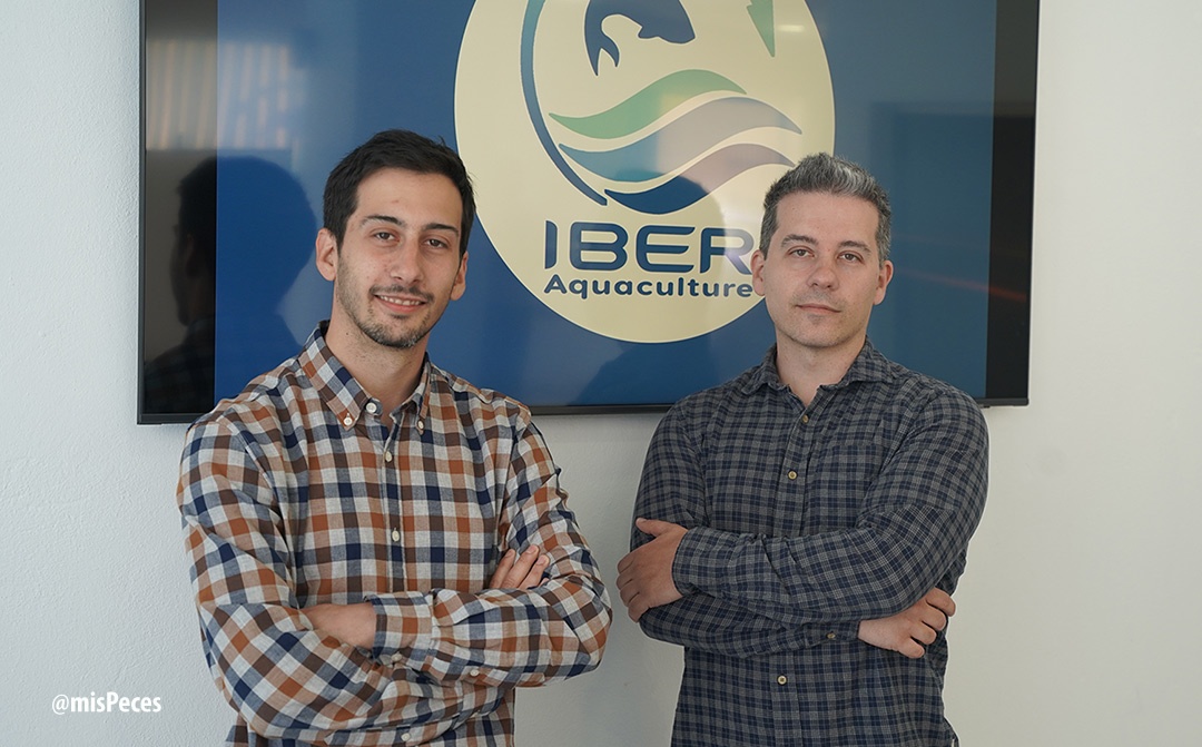 marco-miguel-llerena-jr-iber-aquaculture marco-miguel-llerena-jr-iber-aquaculture