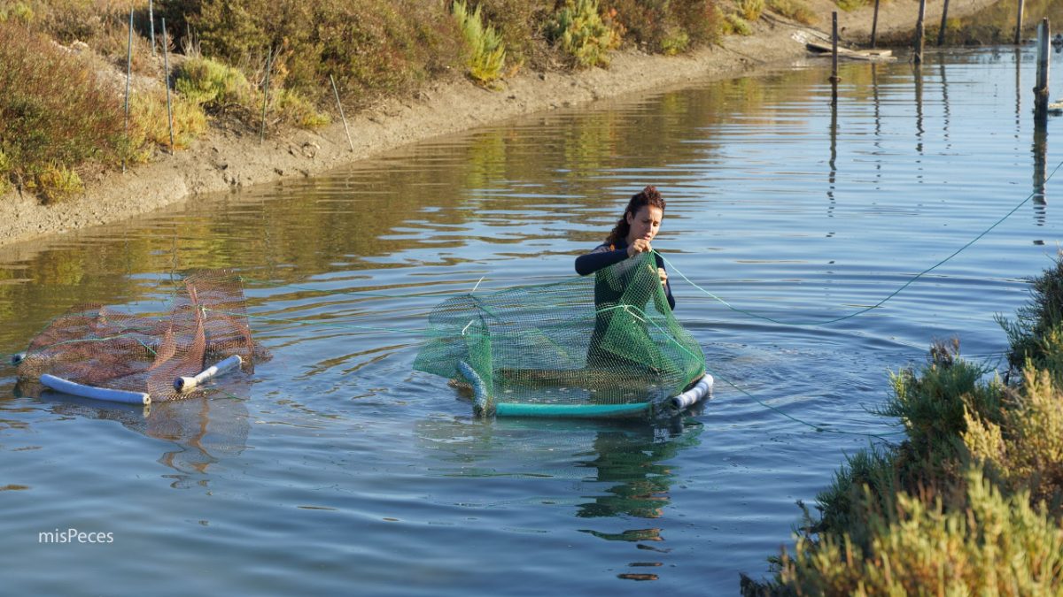María Galindo trabajando en estero