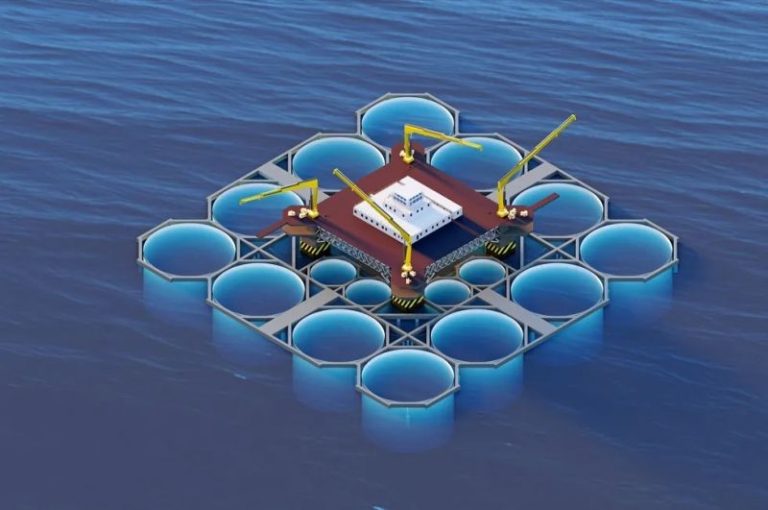 Mariculture Systems