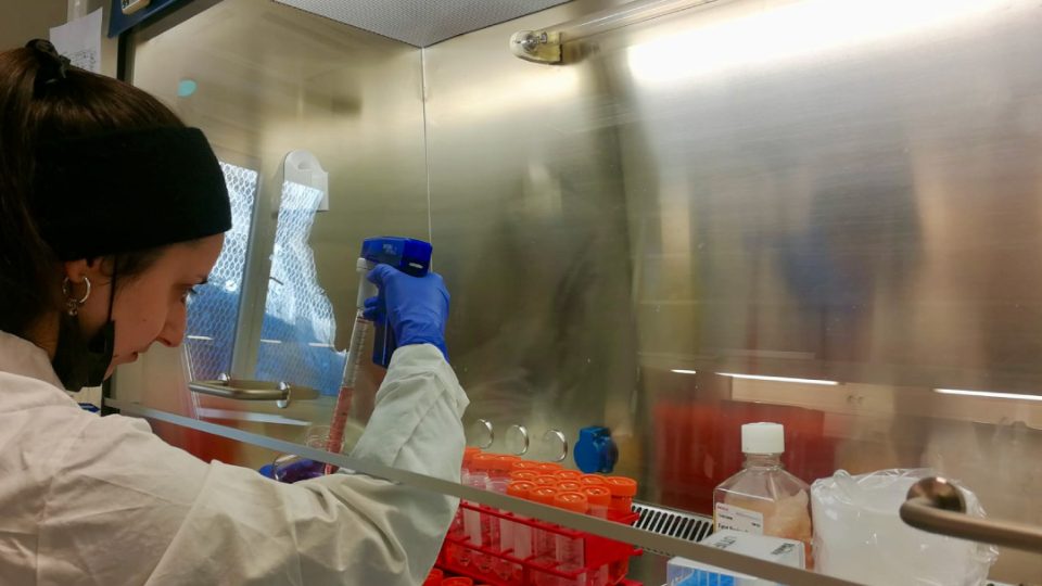 Mariana Ferreira trabajando laboratorio