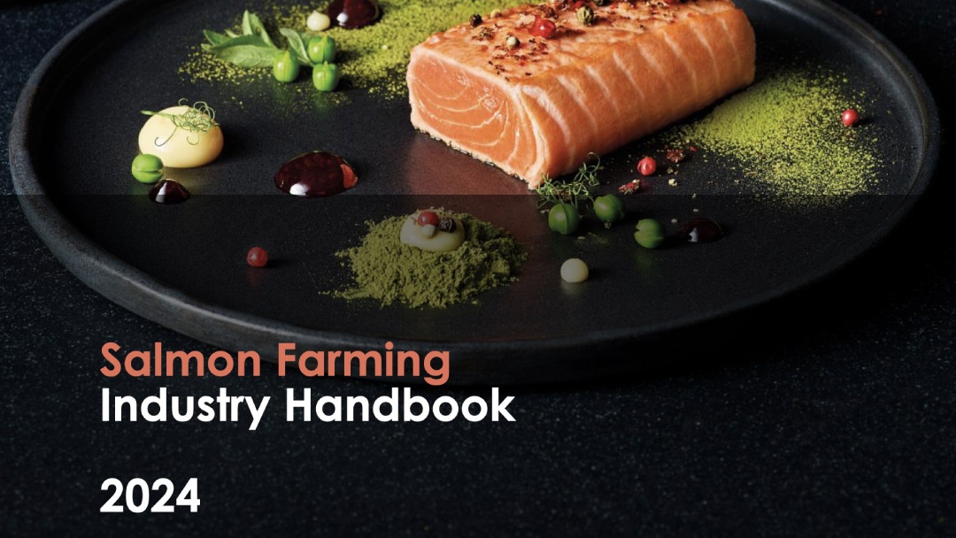 Mowi Salmon Industry handbook 2024