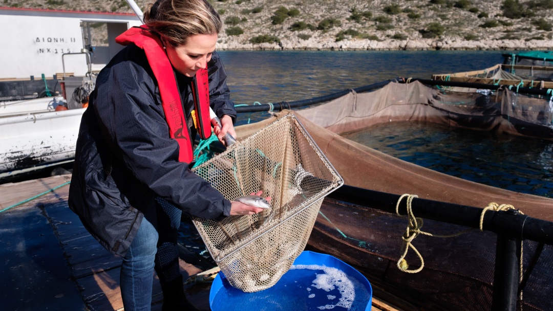 Comisión General de Pesca para el Mediterráneo Comisión General de Pesca para el Mediterráneo