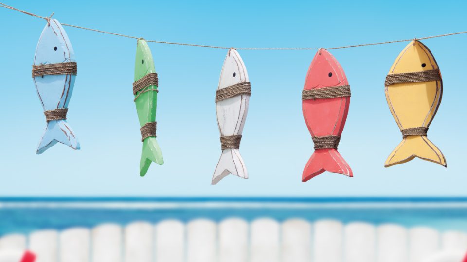 Peces de plástico en tendedero