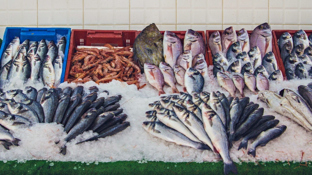 Pescadería con pescados acuicultura Pescadería con pescados acuicultura