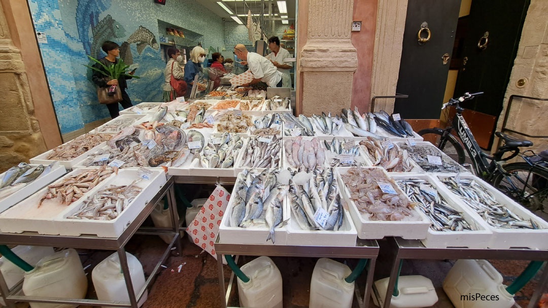 Pescadería tradicional en Bologna, Italia Pescadería tradicional en Bologna, Italia