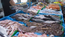Los españoles cada vez aprecian más los pescados de acuicultura como el salmón, la dorada, la lubina y los peces planos