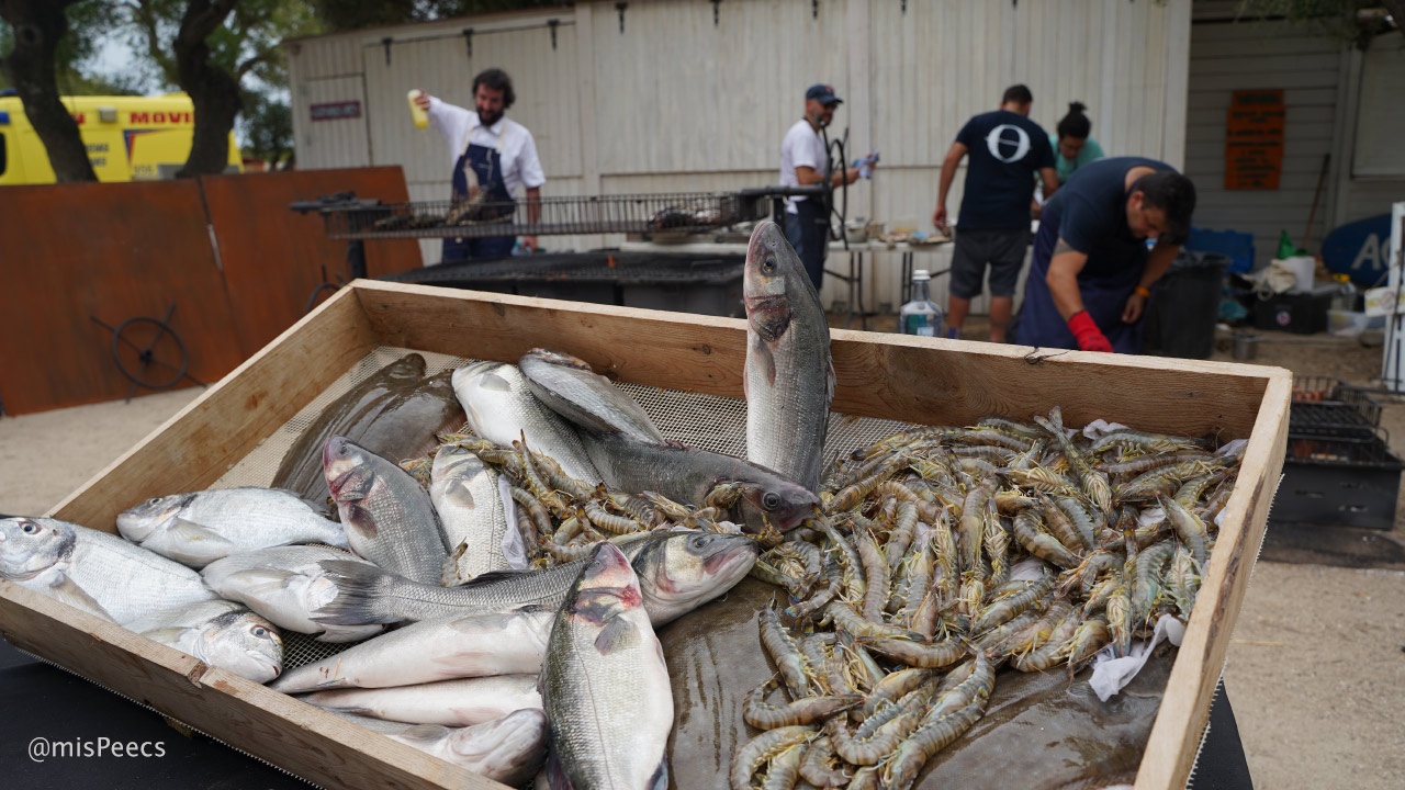 Pescado de Estero, Despesque 2022 Pescado de Estero, Despesque 2022