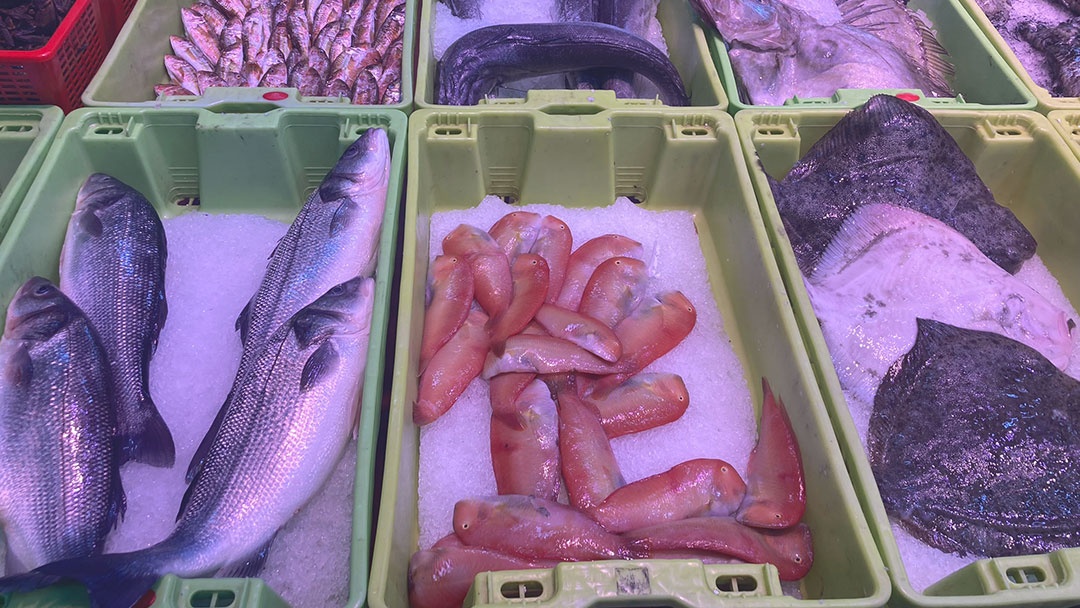 Pescados CEPESCA