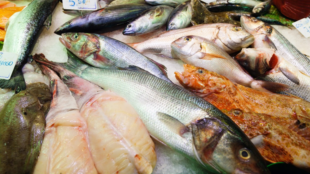 Pescados y mariscos en el mostrador