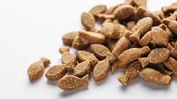 La formulación de piensos: balance entre valor nutricional y óptimas características físicas