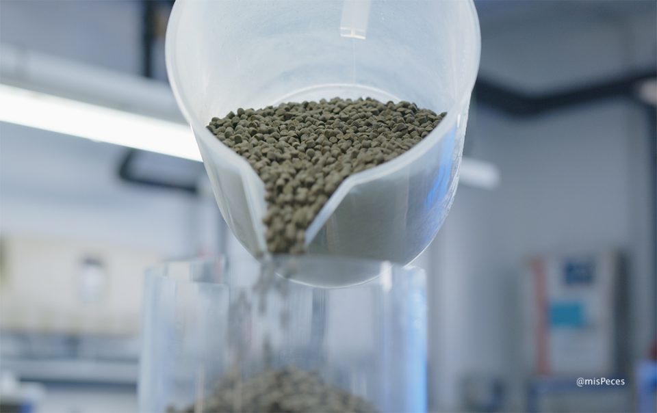 Pienso dispensado alimentador automático