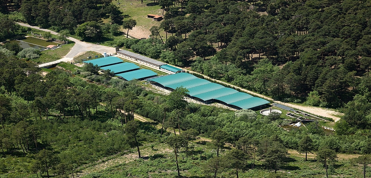 Piscifactoría de Quintanar de la Sierra Piscifactoría de Quintanar de la Sierra