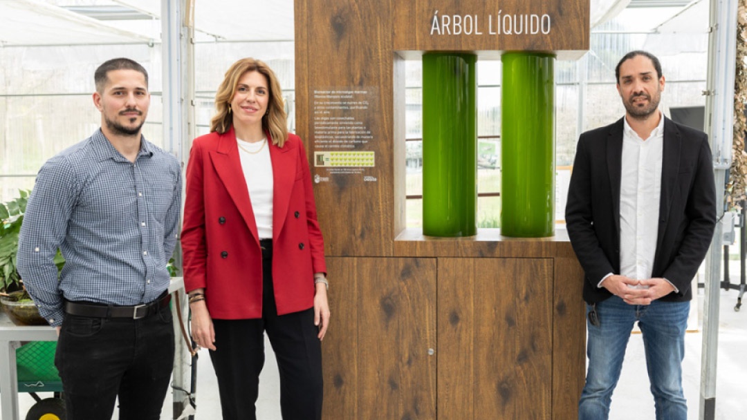 Pozuelo de Alarcón presenta árbol líquido Pozuelo de Alarcón presenta árbol líquido