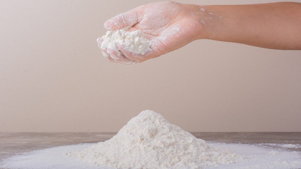 Proteina hidrolizada en polvo