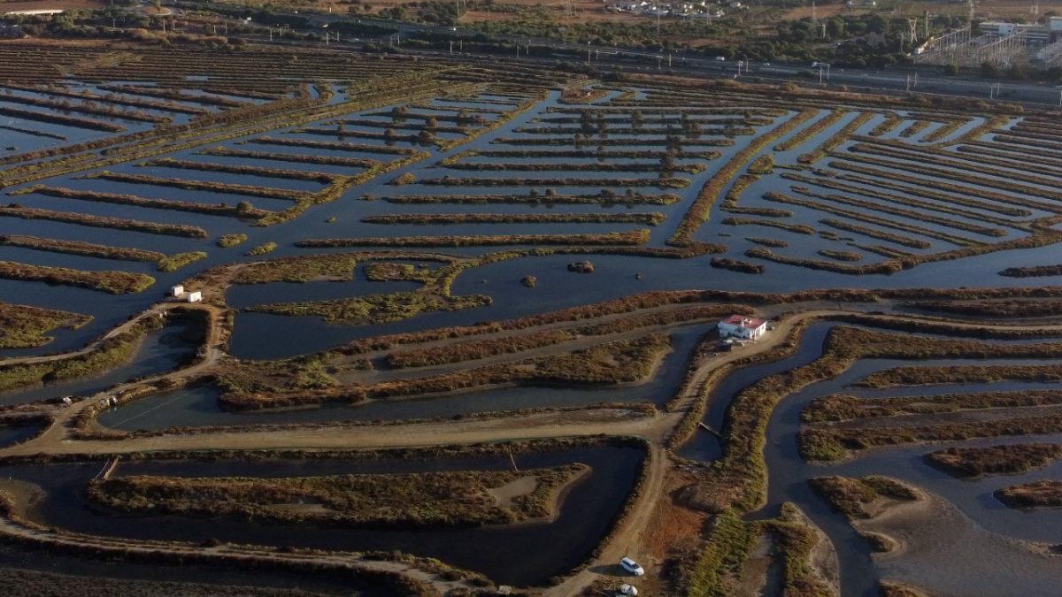 Salina tradicional convertida en estero