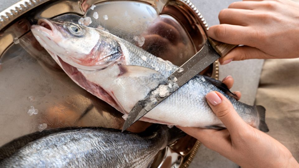 Reciclar pescado