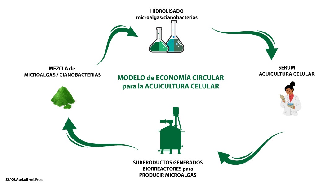 S2AquacoLAB gráfico suero microalgas S2AquacoLAB gráfico suero microalgas