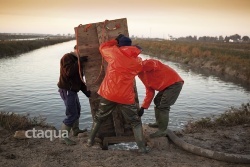 Un informe de CTAQUA destaca que el 51% de las salinas de Chiclana están abandonadas y en mal estado de conservación