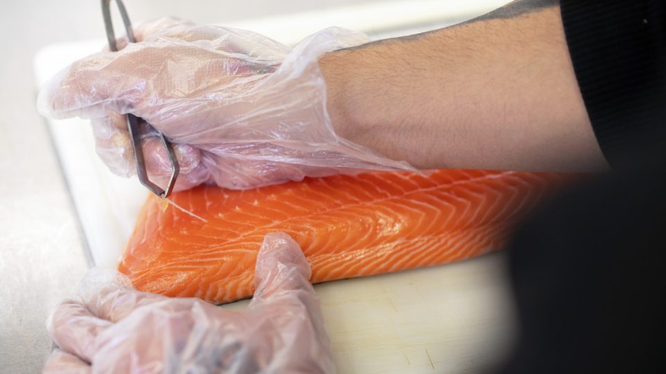 Desespinado de filete de salmón