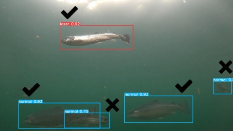 Salmón esquelético controlado por Inteligencia Artificial