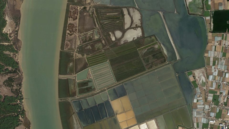 Finca San Carlos de Angulas de Trebujena en Sanlúcar de Barrameda