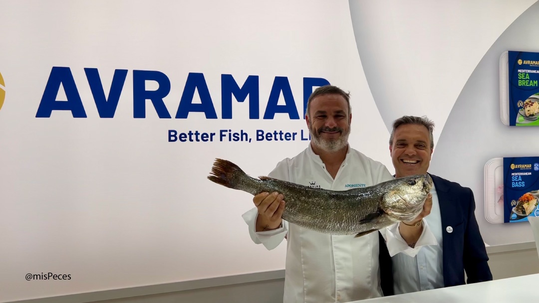 Ángel León y Taiche Lacomba, Corvina Rex Ángel León y Taiche Lacomba, Corvina Rex