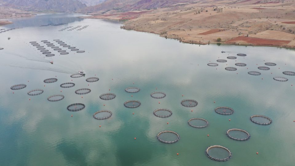 Jaulas de trucha en Sivas, Turquía