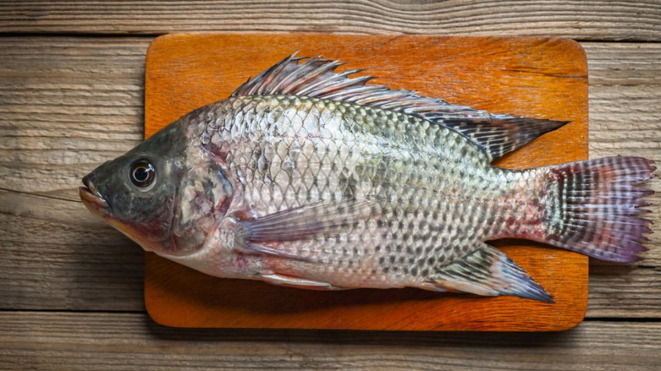 Tilapia sobre tabla de madera
