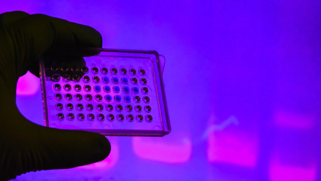 UV LED light UV LED light