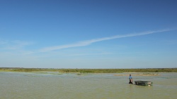 La Junta de Andalucía ultima la compra de Veta La Palma con objetivo de ampliar Doñana
