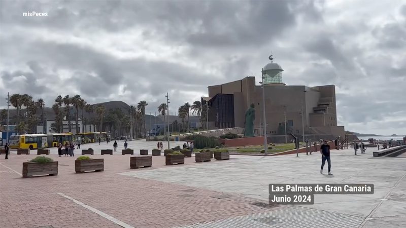 Nuevos ingredientes para los piensos, economía circular y bienestar animal tendencias del XIX Congreso Nacional de Acuicultura