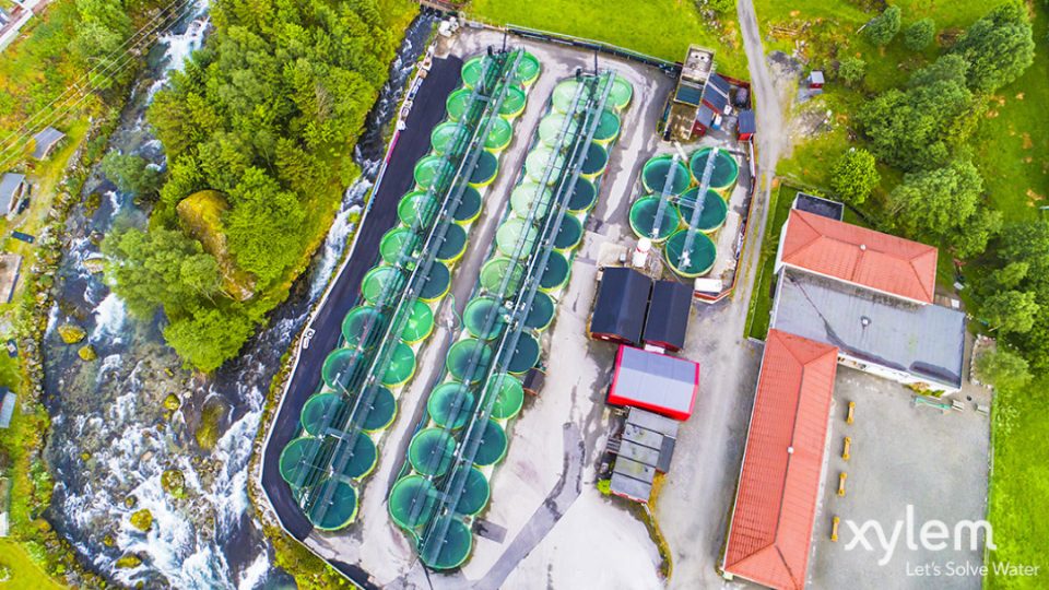 Granja piscícola en vista aérea - Xylem