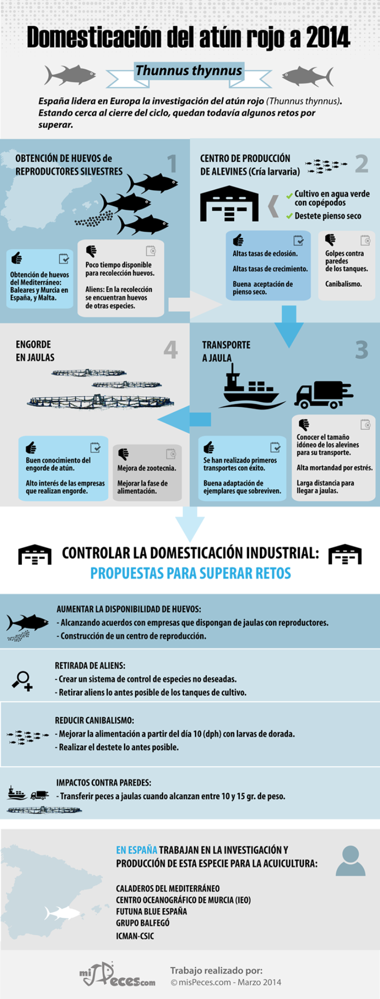 infografia-atun-680