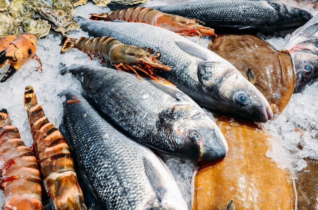 Doradas, lenguados y langostinos en un mercado Doradas, lenguados y langostinos en un mercado